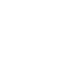 turbo icon